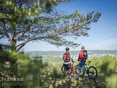 Blick auf die Stadt (Treuchtlingen, Naturpark Altmühltal)