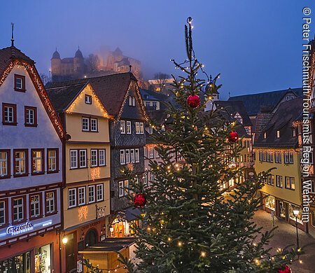 Beleuchtete Fachwerkhäuser und ein geschmückter Weihnachtsbaum in einer abendlichen Stadtansicht.