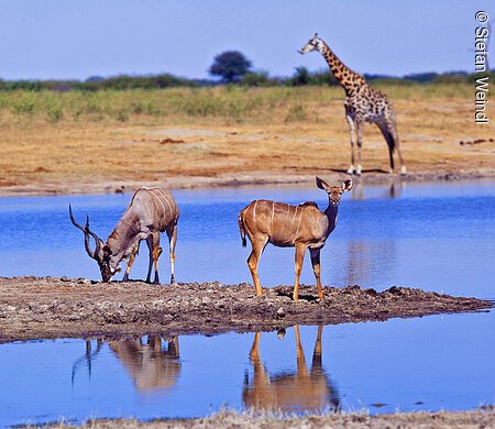 Reisedokumentation südliches Afrika;