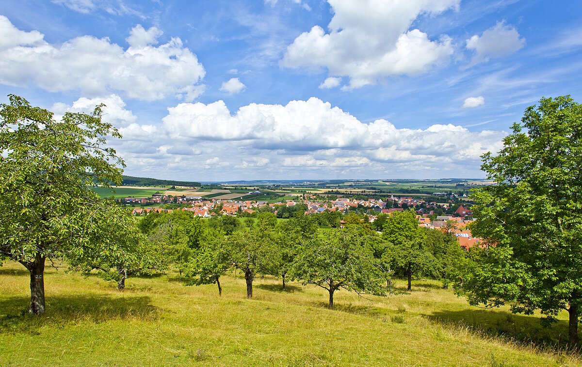 Blick von der Buchleite (Markt Berolzheim, Fränkisches Seenland)
