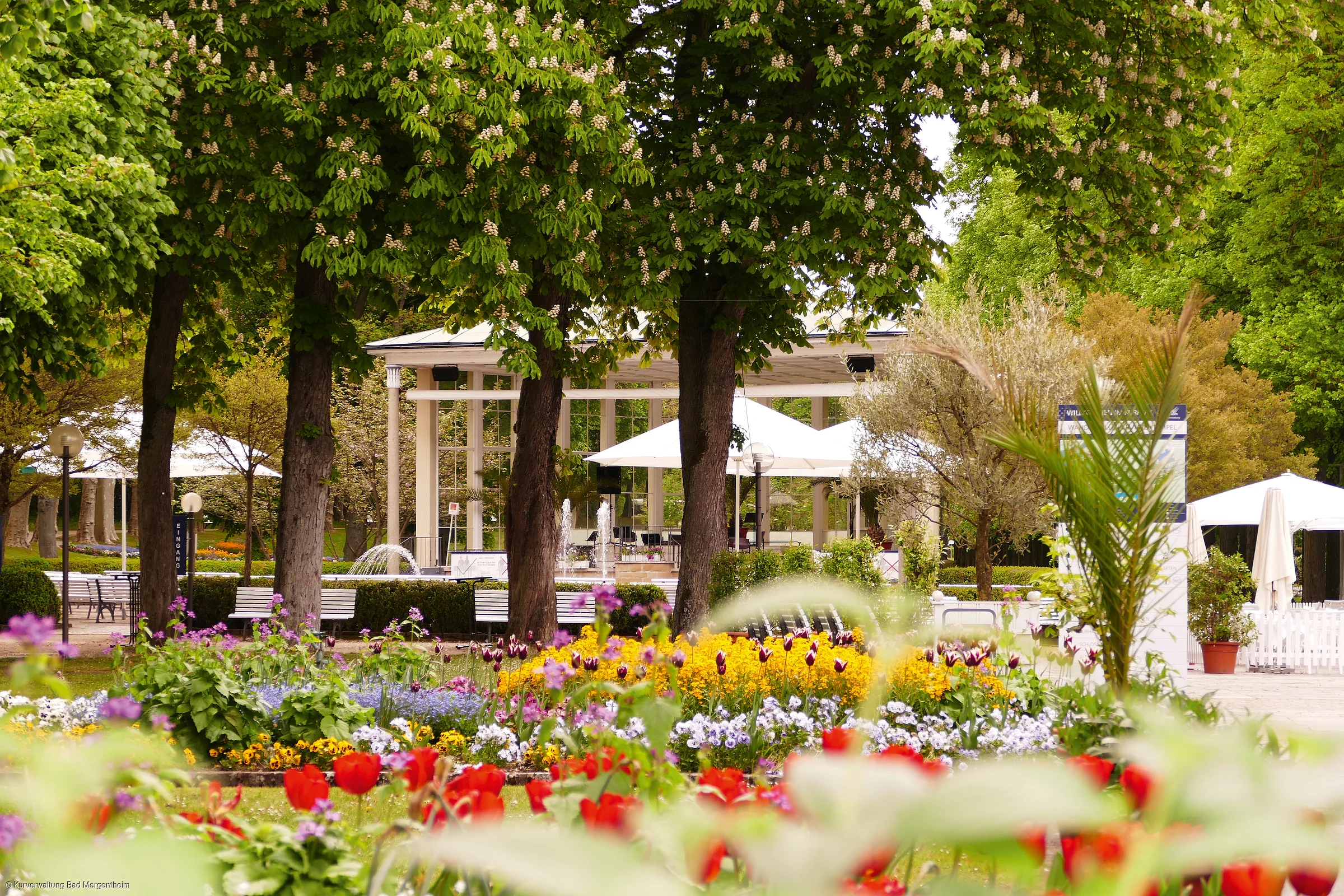 Kurpark