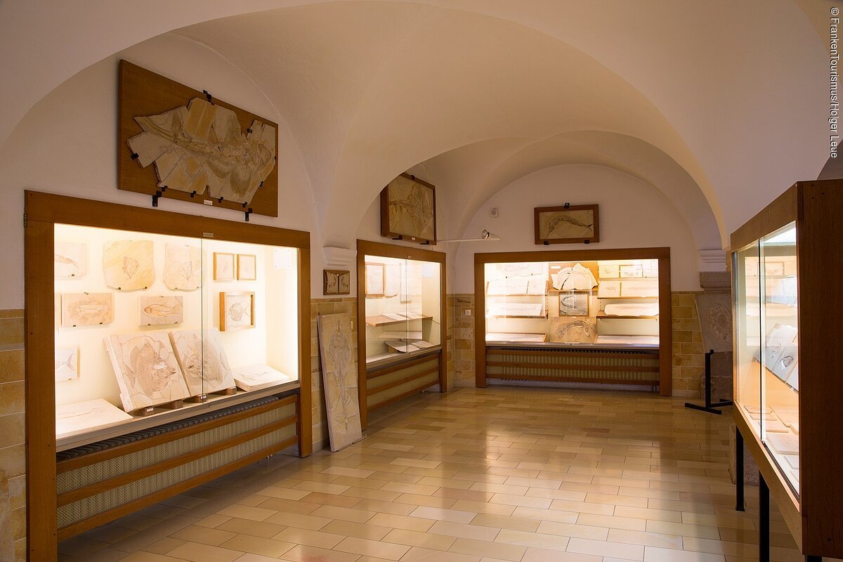Fossilien im Museum Berger (Eichstätt, Naturpark Altmühltal) Fossilien im Museum Bergér