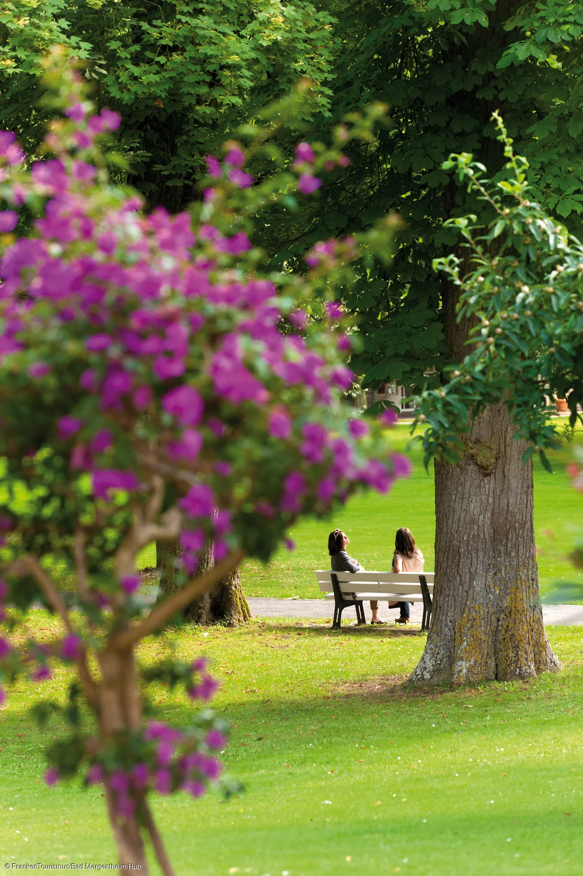 Kurpark - Impressionen