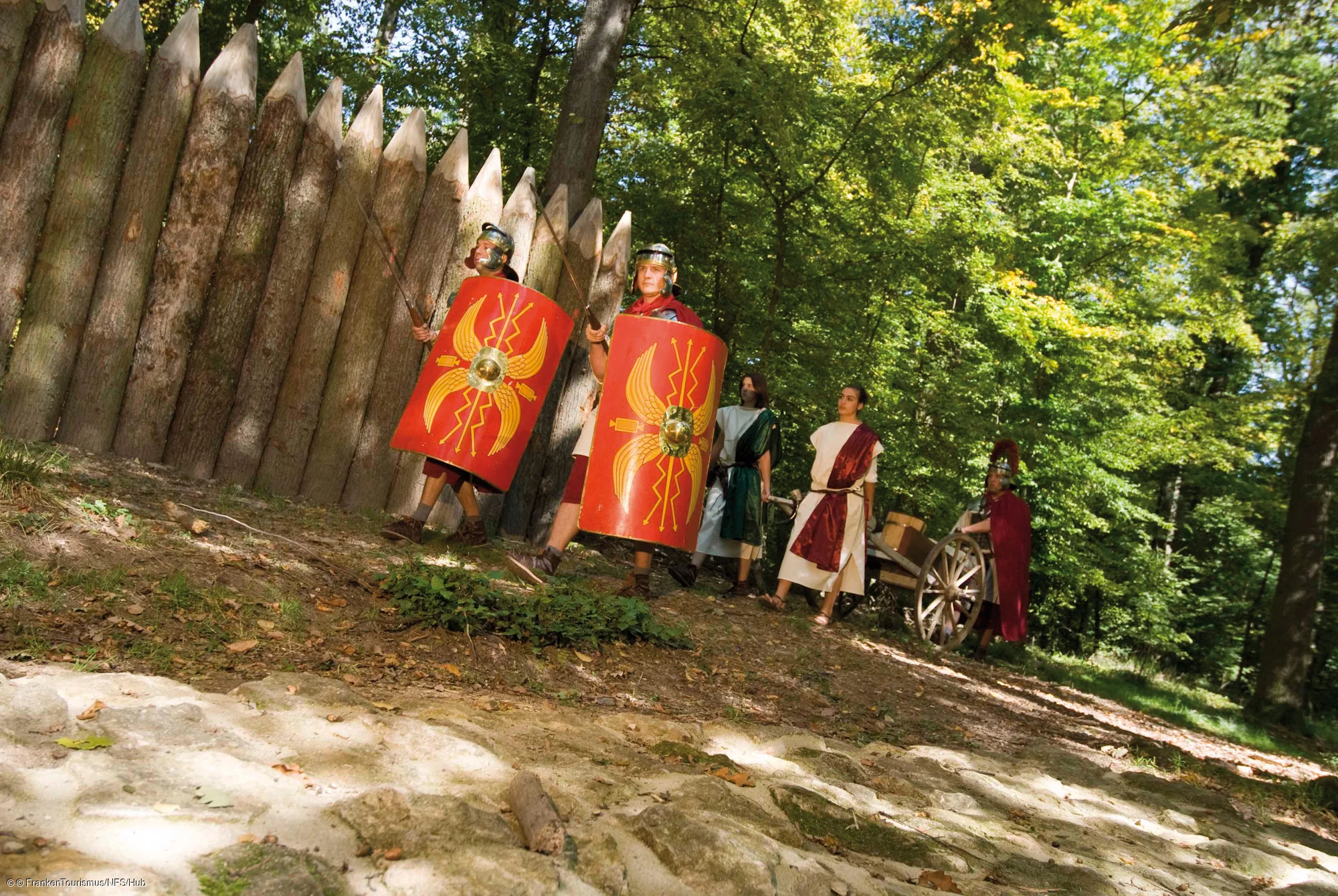 Römer im Burgstallwald
