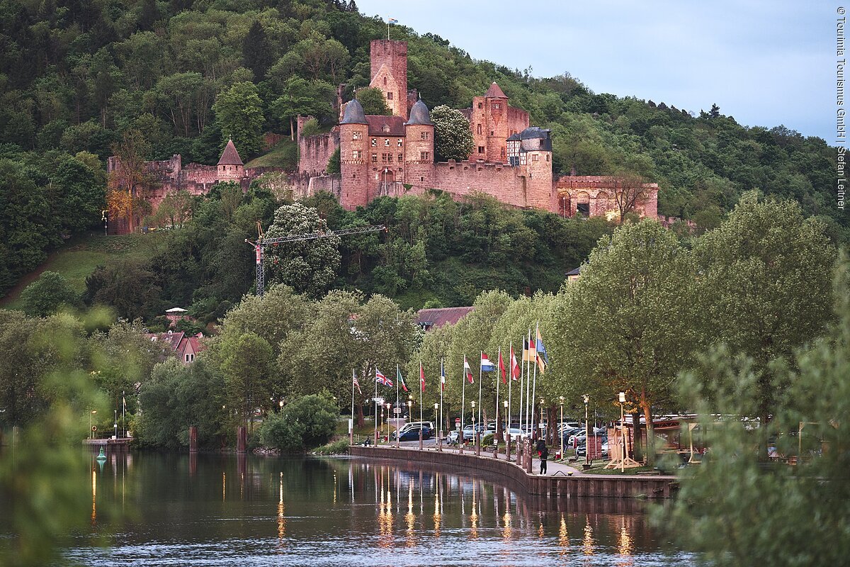 Wertheim (Liebliches Taubertal) Burg auf bewaldetem Hügel mit Flussufer, Fahnen und Parkplätzen im Vordergrund bei Dämmerung.