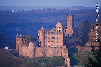 Burg Wertheim
