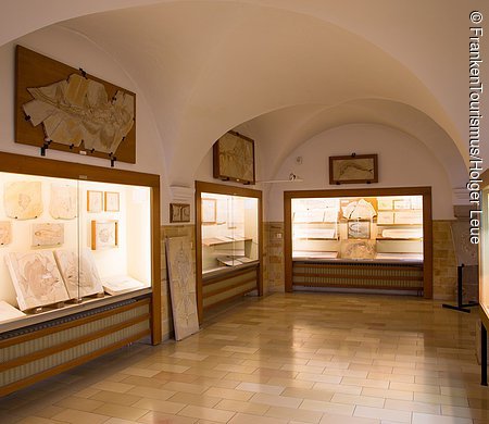 Fossilien im Museum Berger (Eichstätt, Naturpark Altmühltal)