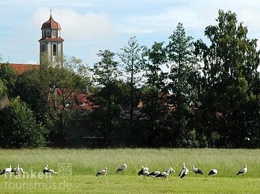 Idylle (Bechhofen, Fränkisches Seenland)