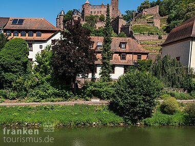 Radler am MainRadweg, im Hintergrund Burg Wertheim (Wertheim/Liebliches Taubertal)