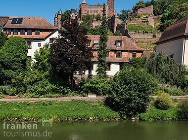 Radler am MainRadweg, im Hintergrund Burg Wertheim (Wertheim/Liebliches Taubertal)